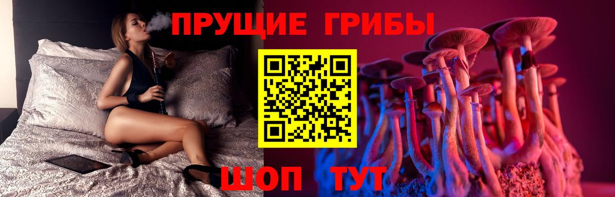 Псилоцибиновые грибы Magic Shrooms Тимашёвск